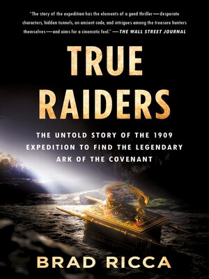 cover image of True Raiders